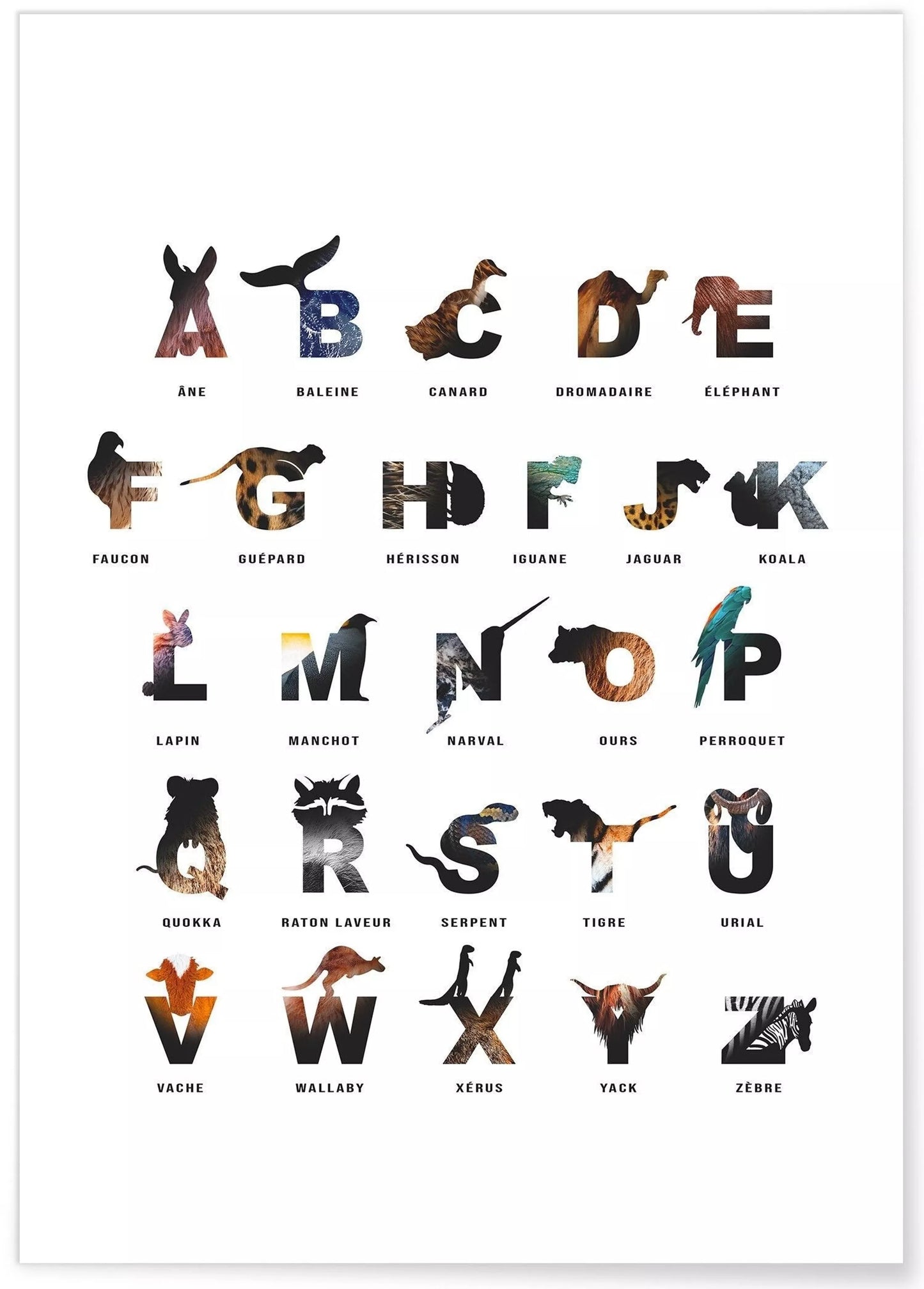 Affiche Alphabet des enfants
