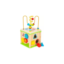 Cube de motricité en bois 5 en 1 - Insectes